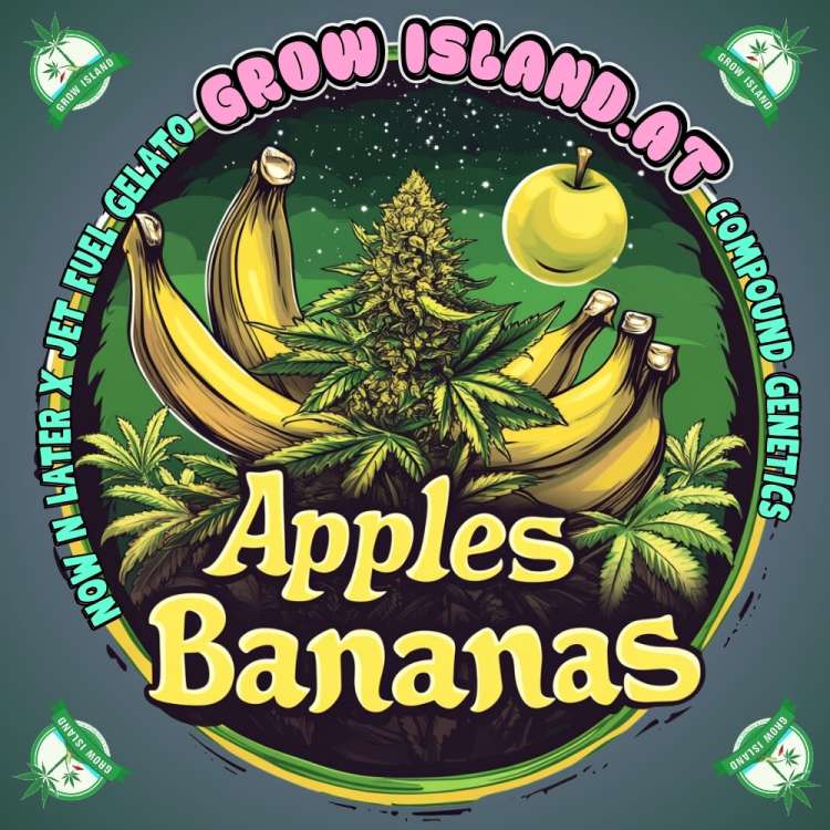 Apples & Bananas logo, cannabis plant in the middle with five Bananas, 2 left 3 right side and 1 apple on the right