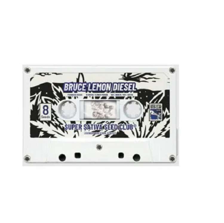 White cassette with the plant name Bruce Lemon Diesel on it