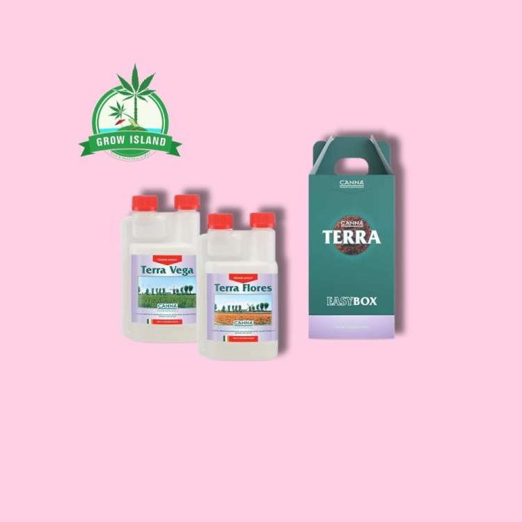 one green paper Canna Terra Easybox, one terra vega and one terra flores plastic bottle with hell rose background and green Grow Island logo in the right upper corner