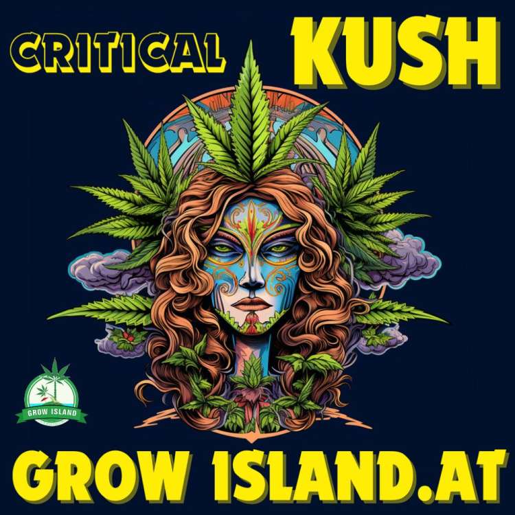 Critical Kush logo, shaman women surrounded with cannabis leafs