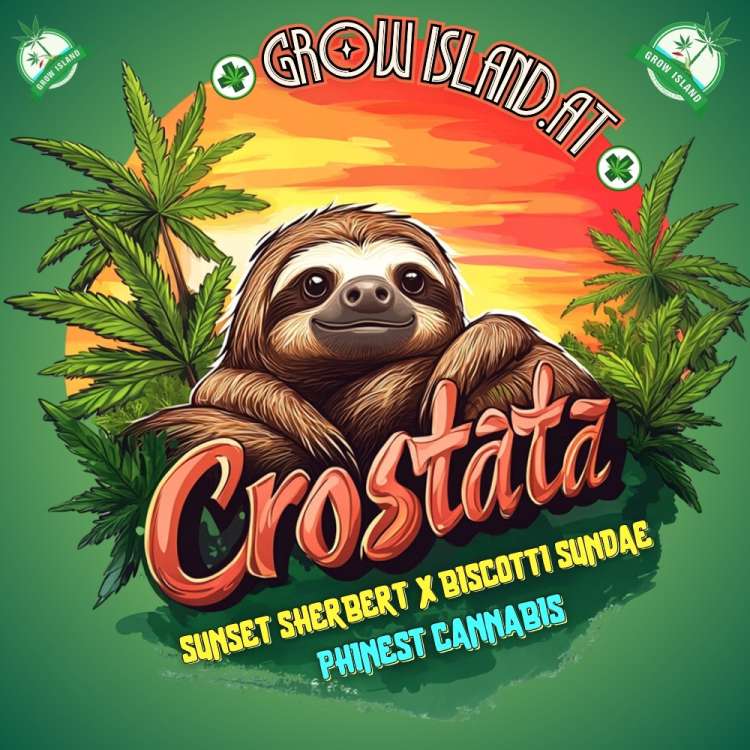 Crostata logo A cute sloth is seen among cannabis leaves.