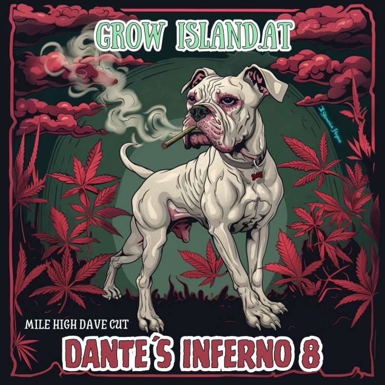 Dante’s Inferno 8 Logo, in der Mitte ein weißer Boxer mit einem Joint im Maul, rote Cannabisblätter an den Seiten.