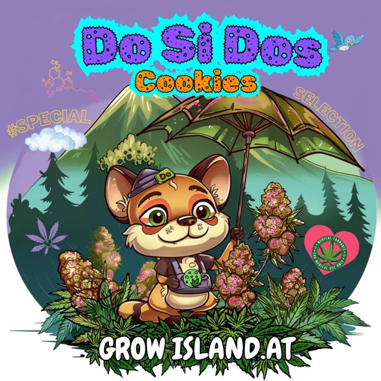 Do Si Dos Cookies logo, a squirrel walking in the cannabis forest, holding an umbrella and a cannabis cookie. Big mountain in the background.