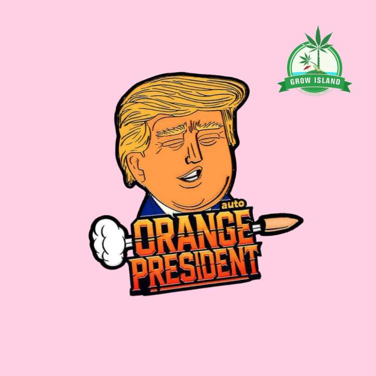 Orange President logo, after the text is a bomb and above is a man with orange hair, pink background and a green Grow Island logo in the upper right corner