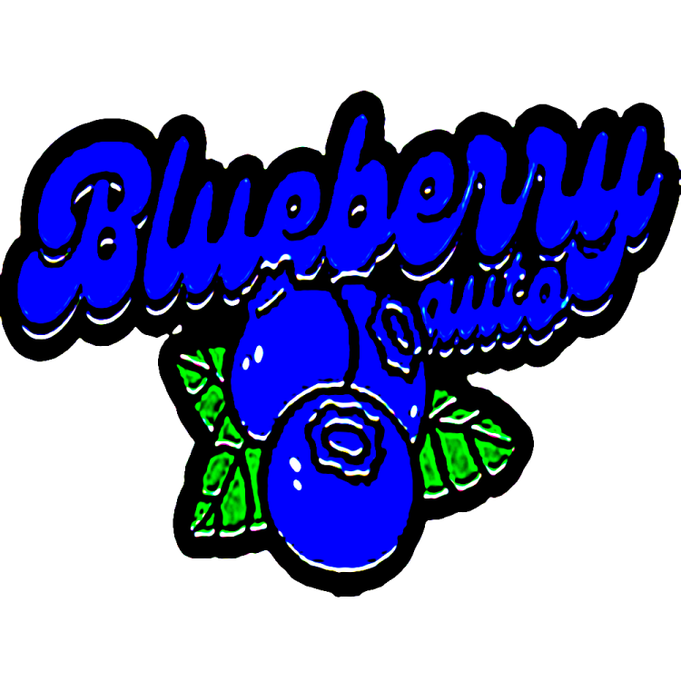 Original Blueberry logo in dark blue colour