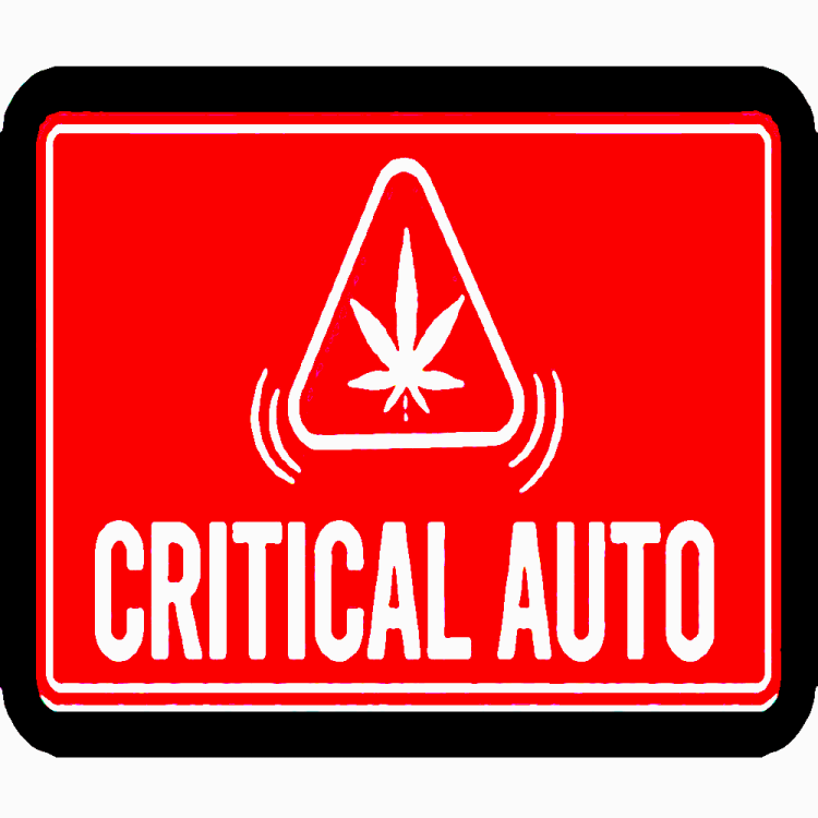 Original Critical logo red squer with white text in it and one white cannabis leaf above the text