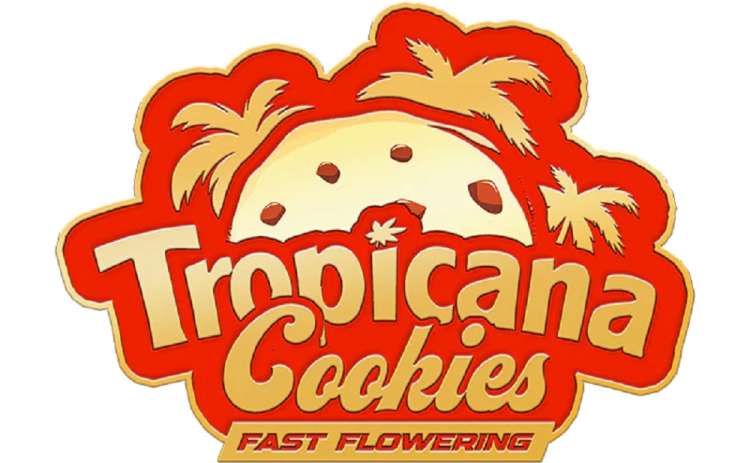 Tropicana Cookies Fast Flowering logo with palm trees in the background