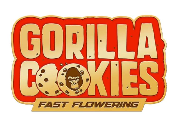 Gorilla Cookies Fast Flowering logo