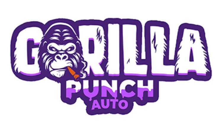 Gorilla Punch Auto logo with purple shades and instead of letter O is a purple Gorilla face with joint in the mouth