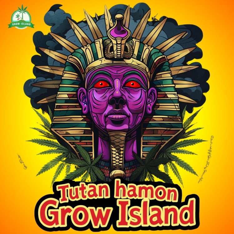 Tutanhamon Logo — Tutenchamun‑Gesicht mit roten Augen, am Hals Cannabisblätter.