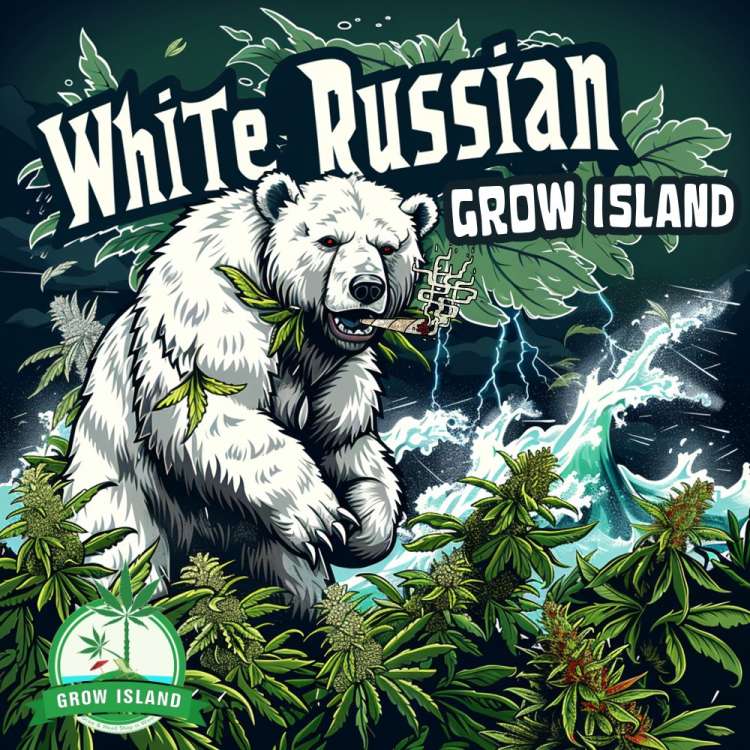 White Russian logo an icebear have a joint in the mouth surrounded with cannabis leafs
