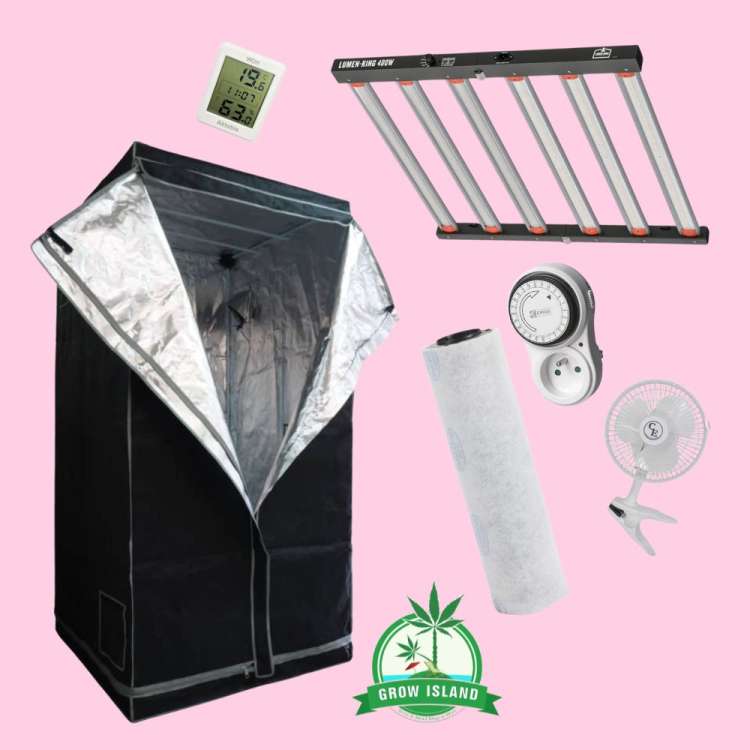 Growbox L 100x100 tent, carbon filter, inline fan, clip fan, thermometer, LED with rose background and green grow island logo in the lower middle part of the picture