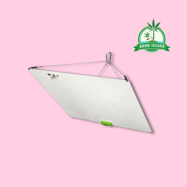 HortiLight Litha S QBoart 2.3 LED dual spectrum 150W with pink background and green Grow Island logo in the right upper corner