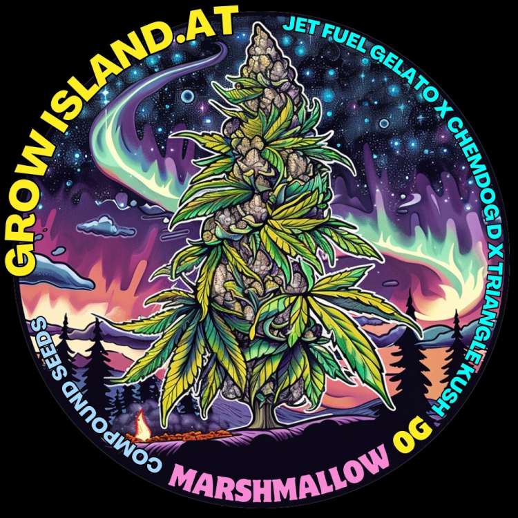 Marshmallow OG logo, a hemp big bud with the northern lights in the sky