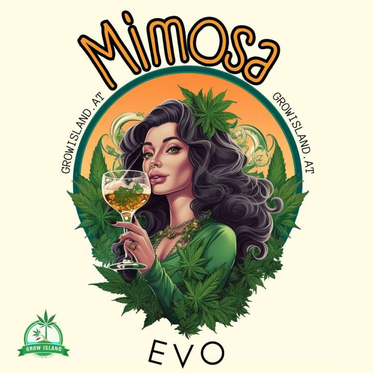 Mimosa Evo logo with beige background, a black haired lady drinking a coctail, wearing green dress and a cannabis leafs in the hair