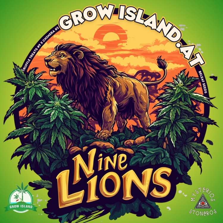 Nine Lions logo, a lion standing between many cannabis plants, with an orange sky
