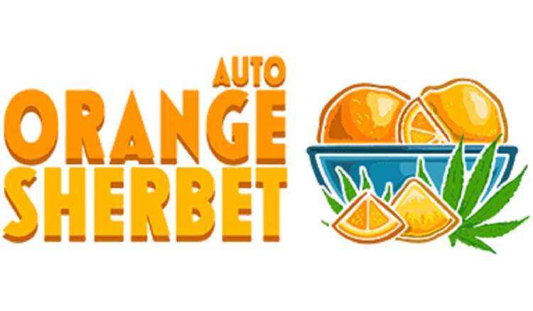 Orange Sherbet logo wiht orange letters and sliced orange near it on the right