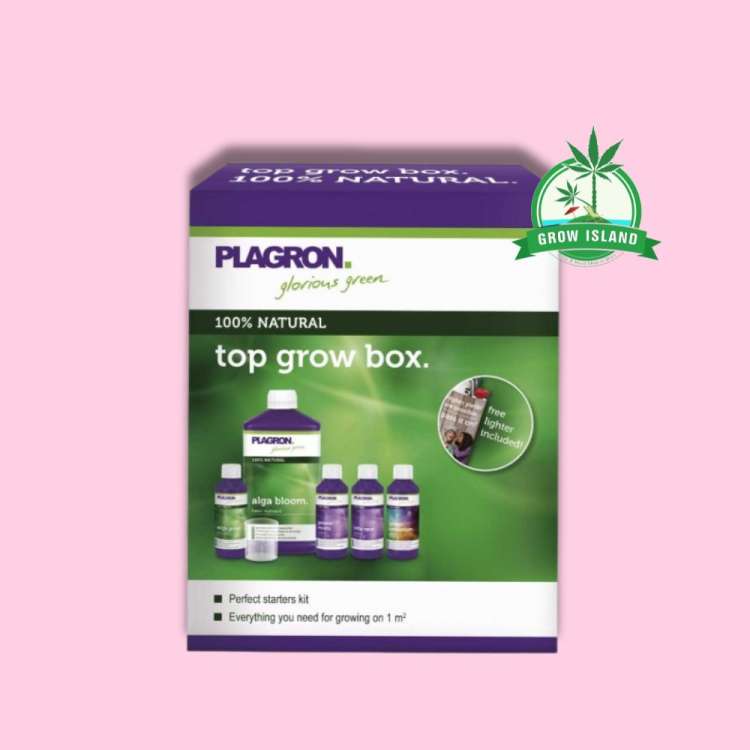Plagron - Top Grow Box Bio white-purple-green paper box with hell rose background and green Grow Island logo in the right upper corner