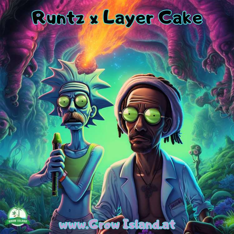 Runtz X Layer Cake logo witrh green-blue background an purple sky, on the right is one rasta man in sunglasses, on the left is one old man with blue hair and sunglasses