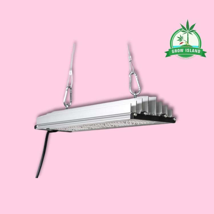 SANlight Stixx 50 LED modul 50W with pink background and green Grow Island logo in the right upper corner