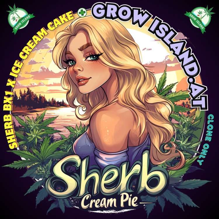 Sherb Creme Pie logo with a blond hair lady who is wearing an off-the-shoulder lila dress. Some cannabis leafs around her. A river flows in the background, with a forest on the other side