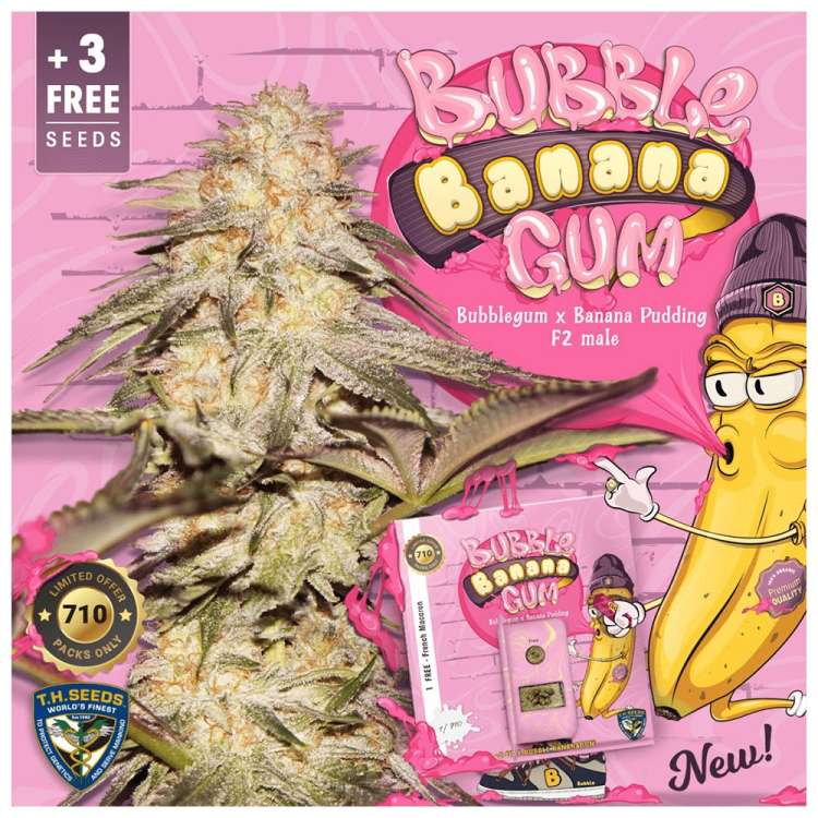 T. H. Seeds / FEM / BubbleBananaGum