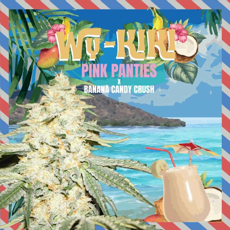 T. H. Seeds / FEM / WY-KIKI