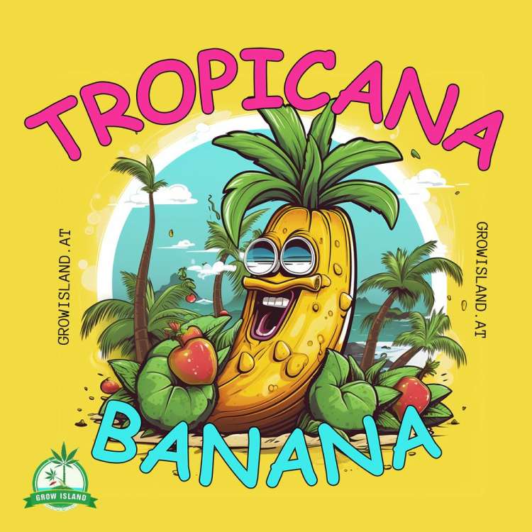  Tropicanna Banana logó — sárga háttér; napszemüveges banán pihen két pálmafa között.