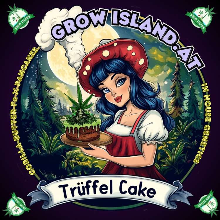 Trüffel Cake logo — a black‑haired lady in a red hat and red dress holding a green cake topped with cannabis leaves; pine trees and a bright full moon in the background.