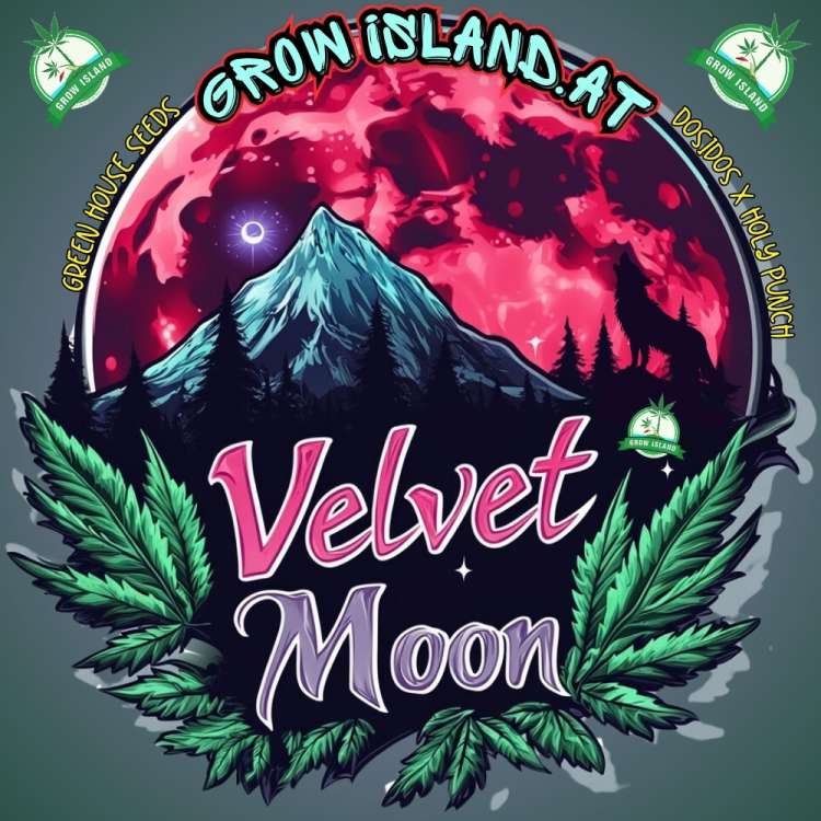 Velvet Moon Logo — ein Berg in der Mitte mit rotem Himmel und Vollmond; um den Namen unter dem Berg liegen Cannabisblätter