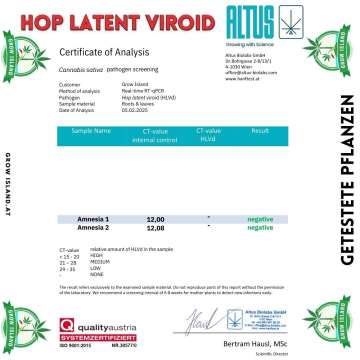 Virus test in which the  Amnesia is negative for hop latent virus.
