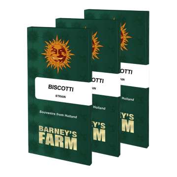 Three Biscotti seed pack in dark green color with orange barneys farm sun logo