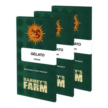 Gelato seed pack in dark green color with orange barneys farm sun logo