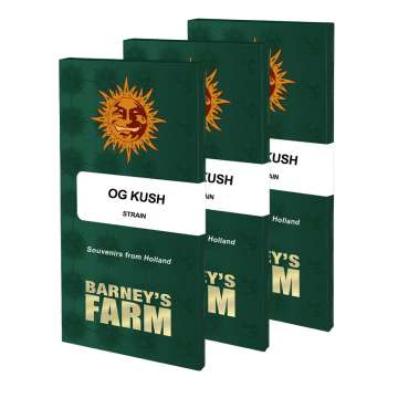 OG Kush seed pack in dark green color with orange barneys farm sun logo