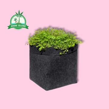 dark grey fabric pot with green small leafs plant in it with pink background and green Grow Island logo in the left upper corner