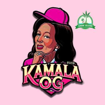 Kamala Og logo, a lady with black hair and pink baseballcap with pink background and a green Grow Island logo in the upper right corner