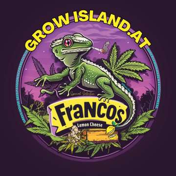 Franco’s Lemon Cheese Illustration: grüner Gecko mit Joint, umgeben von Hanfblättern in einem violetten Emblem, GrowIsland.at Branding.