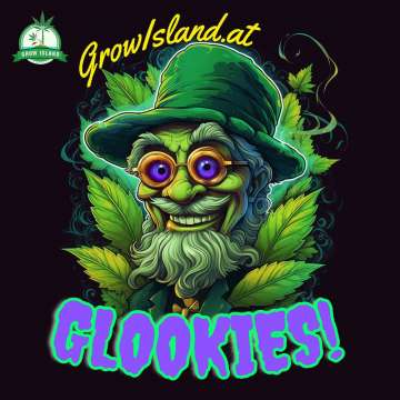 Glookies logo, an old green faced man in green hat, gold sunglasses and longer bart
