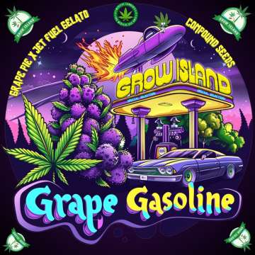 Grape Gasoline logo, A purple Cadillac is parked at a purple gas station with the sign "Grow Island," a purple rocket on top of the station, and a giant purple cannabis plant on the left side of the image.