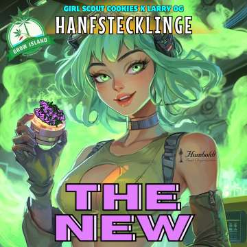 The New Illustration: grünhaarige Frau mit Neon‑Hintergrund hält ein Glas mit violetten Blüten; Text „Hanfstecklinge“, Girl Scout Cookies × Larry OG, Grow‑Island‑Branding.