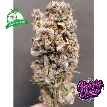Rainbow Candy hemp flower bud