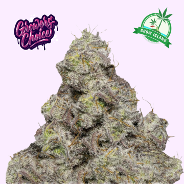 Blue Forest Berry hemp flower bud