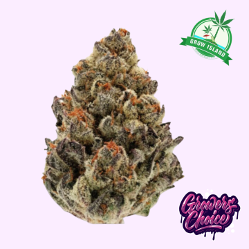 Bruce Banner 3 hemp flower bud