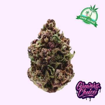 pink magic cannabis flower