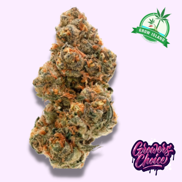 Weddingcake x Frosty Gelato hemp flower bud