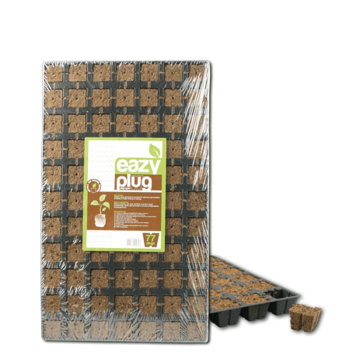 Eazy Plug Stecklingsblöcke
