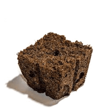 Eazy Plug Stecklingsblöcke