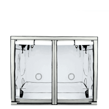 Homebox Ambient Q240 - 240x240x200cm