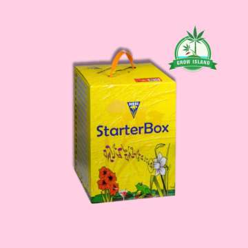 Hesi yellow paper Starterbox for Coco with hell rose background and green grow island logo in the right upper corner