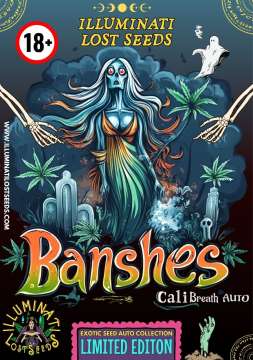Eine geisterhafte weibliche Figur von Banshes Cali Breath in der Bildmitte, mit dem Logo von Illuminati Lost Seeds und einer Hexe in der linken unteren Ecke.